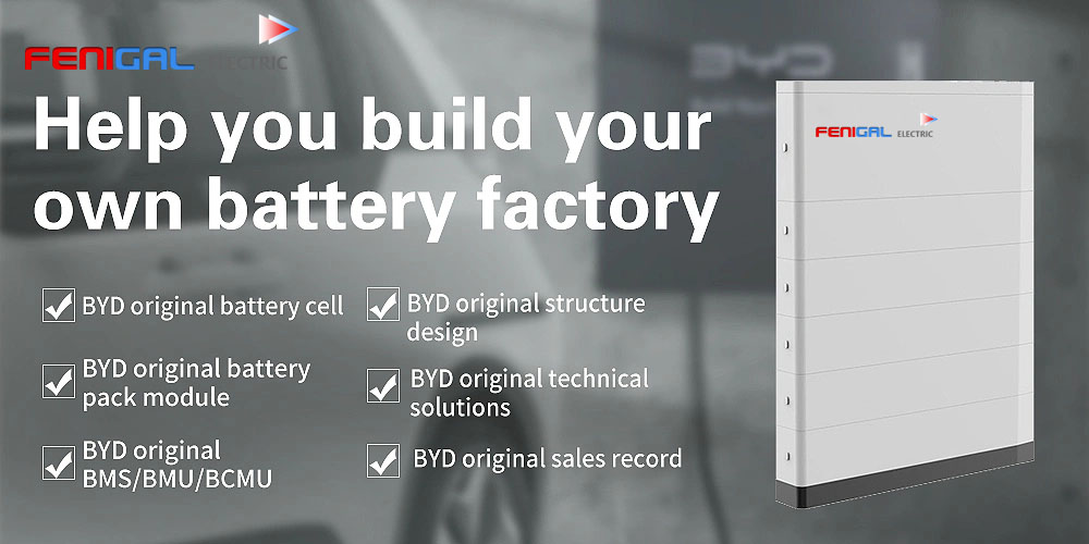 BYD blade cell based PV energy storage battery packs with BMS-PRODUCT ...